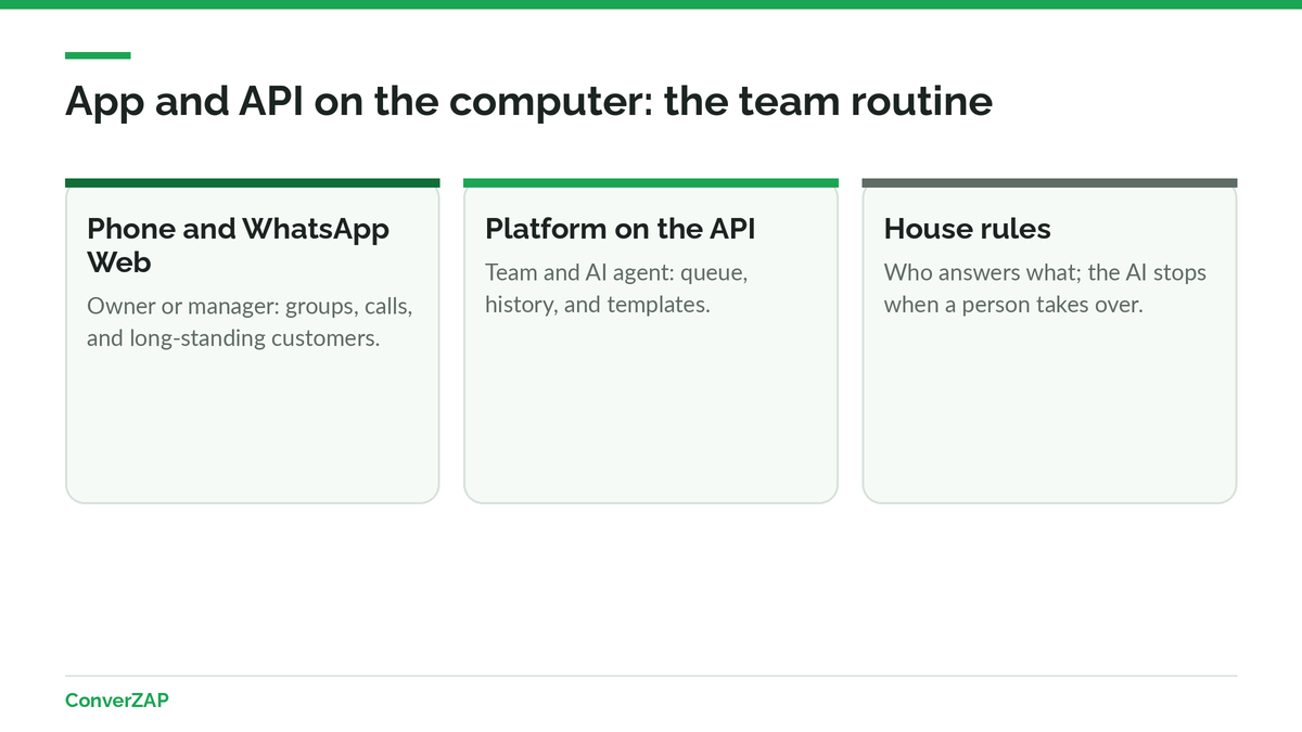WhatsApp Business app and API on the computer: the owner on the phone and WhatsApp Web, the team and AI agent on the platform, with rules to avoid duplicate replies